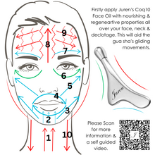 Juren Facial Sculpting Gua Sha & Eye Roller