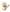 scrolling text